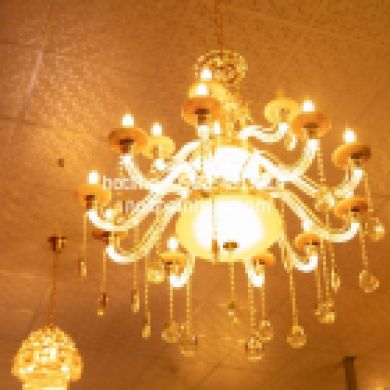 BMSC-PL 10